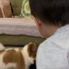 Potret Baby Air Anak Irish Bella Dikejar Anjing Saat Sedang Gendong Kucing, Ekspresinya Bikin Netizen Kasihan Sekaligus Ngakak