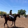 10 Potret Menawan Farah Quinn saat Berkuda, Badan Tegap dan Body Langsingnya Goals Banget!