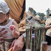 Lucu dan Menggemaskan, Ini Deretan Potret Aurel dan Atta Ajak Baby Ameena ke Bali Zoo, Cuma Pakai Singlet