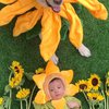 Bareng Anjing Tercinta, Ini Deretan Potret Baby Timo Anak Chef Arnold Cosplay Jadi Bunga Matahari