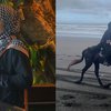 Deretan Potret Zaskia Sungkar Berkuda di Pantai Pakai Gamis, Gayanya Kayak Wanita Timur Tengah!