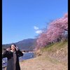 Yuki Kato Bikin Kepincut, Kecantikannya Berpadu Apik dengan Keindahan Bunga Sakura