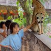 10 Potret Gisella Anastasia dan Gading Marten Temani Gempi Study Tour ke Taman Safari, Kompak Banget!