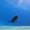 Tetap Cantik Meski di Dasar Laut, Ini Potret Seru Gisella Anastasia Diving yang Bikin Netizen Pengen Ikutan Nyemplung!