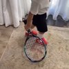 Gemes Banget, Ini 8 Momen Rayyanza Main Tenis dengan Raket Imutnya