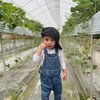 10 Potret Gemas Rafathar dan Rayyanza Panen Strawberry di Jepang, Kakak Adik Gantengnya Saingan Nih!