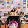 Akhirnya Ngumpul Lagi, Ini Potret Persahabatan Cassandra Lee dan Beby Tsabina yang Seru-seruan Main Kucing Bareng