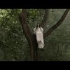 Ini 10 Potret Luna Maya dalam Official Trailer Film Suzzanna Malam Jumat Kliwon yang Baru Saja Rilis 