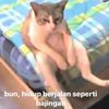 9 Potret Meme Kucing Sedih Sekaligus Putus Asa Ini Mewakili Perasaan Manusia Jaman Now Banget!