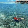 Potret Tasya Farasya Libran di Maldives, Snorkeling Sambil Nikmati Indahnya Pemandangan Bawah laut