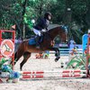 10 Potret Margin Wieheerm yang Baru Pertama Kali Ikut Kompetisi Berkuda, Tuai Pujian Tampil Kece di Pacuan Kuda!