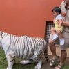 10 Potret Baby Moana Main Bareng Harimau Alshad Ahmad, Gak Ada Takutnya Mirip Ria Ricis Banget!