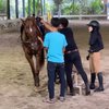 Deretan Rizky Billar Beri Hadiah Kuda di Ulang Tahun Lesti Kejora, So Sweet!