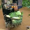 Berkonsep Unik, Ini Deretan Potret Pesta Pernikahan dengan Tema Pasar Sayur