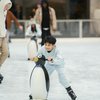 Disebut Mirip Jaehyun NCT, Intip Yuk Potret Terbaru Rafathar Saat Main Ice Skating di New York - Gantengnya Paripurna! 