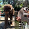 Potret Shenina Cinnamon Main ke Kebun Binatang, Body Goalsnya Jadi Sorotan
