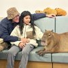Menunggu Sebelum Cafe Buka, Ini Potret Marsha Timothy dan Sang Putri Akhirnya Bisa Main Bareng dengan Capybara! 