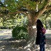 Serunya Potret Yuki Kato Lakukan Trip ke Hiroshima Castle, Main sambil Belajar Sejarah