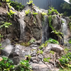 13 Foto Rainforest Garden di Rumah Raffi Ahmad, Air Terjun dan Sungai Buatan bak Cuilan Surga