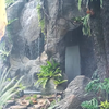 13 Foto Rainforest Garden di Rumah Raffi Ahmad, Air Terjun dan Sungai Buatan bak Cuilan Surga