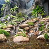 13 Foto Rainforest Garden di Rumah Raffi Ahmad, Air Terjun dan Sungai Buatan bak Cuilan Surga