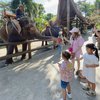 Foto Liburan Momo Geisha dan Keluarga di Bali Zoo, Seru-seruan Beri Makan Harimau hingga Naik Gajah