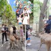 Foto Liburan Momo Geisha dan Keluarga di Bali Zoo, Seru-seruan Beri Makan Harimau hingga Naik Gajah