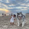 Tingkah Gemas Xarena Anak Siti Badriah saat Minta Foto bareng Anjing Besar, Ekspresinya Lucu Banget!