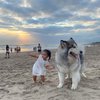 Tingkah Gemas Xarena Anak Siti Badriah saat Minta Foto bareng Anjing Besar, Ekspresinya Lucu Banget!