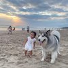 Tingkah Gemas Xarena Anak Siti Badriah saat Minta Foto bareng Anjing Besar, Ekspresinya Lucu Banget!