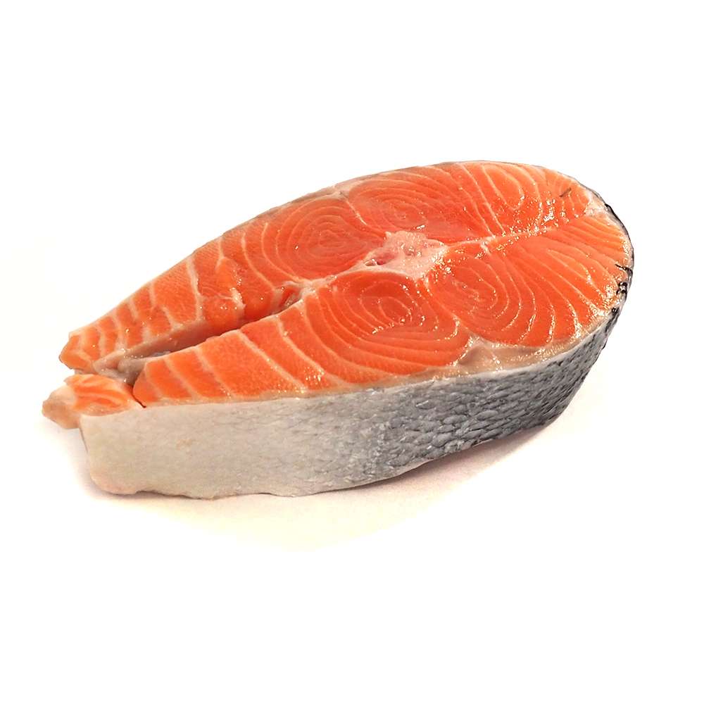 Ilustrasi Salmon