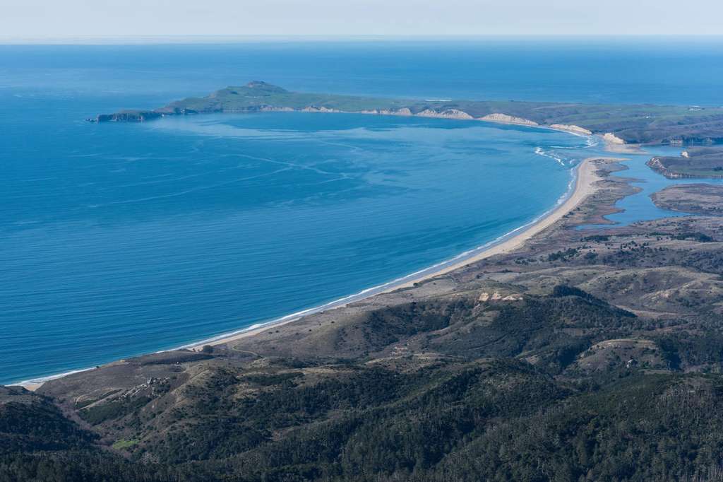 Ilustrasi Pantai Point Reyes