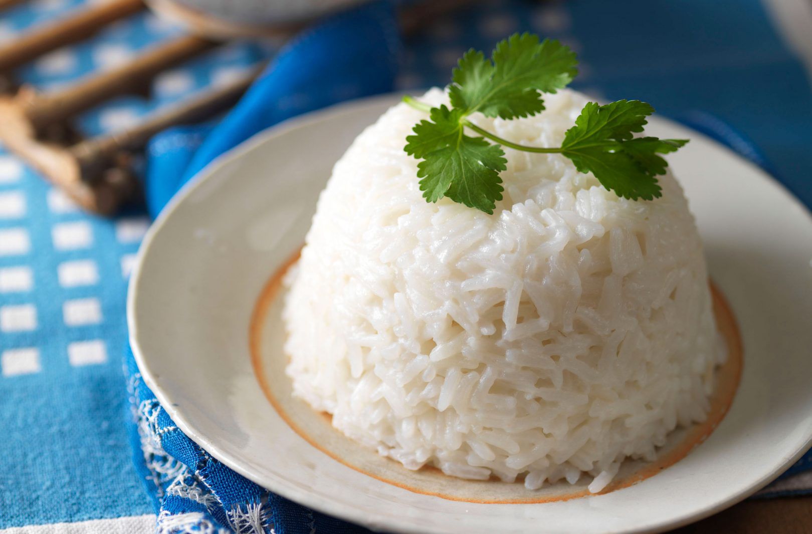 Ilustrasi nasi putih