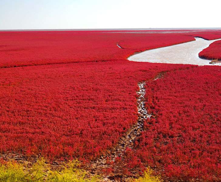 Danau Yuncheng, China