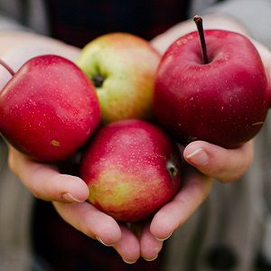 ilustrasi buah apel