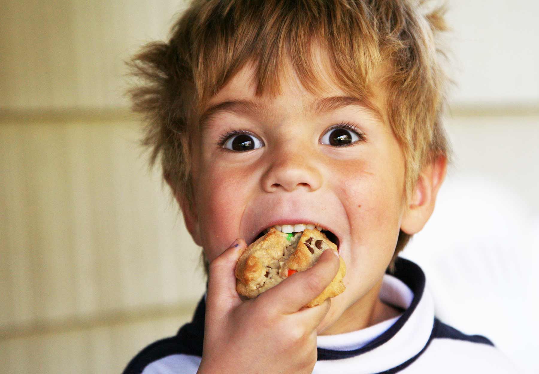 Ilustrasi anak kecil makan biskuit
