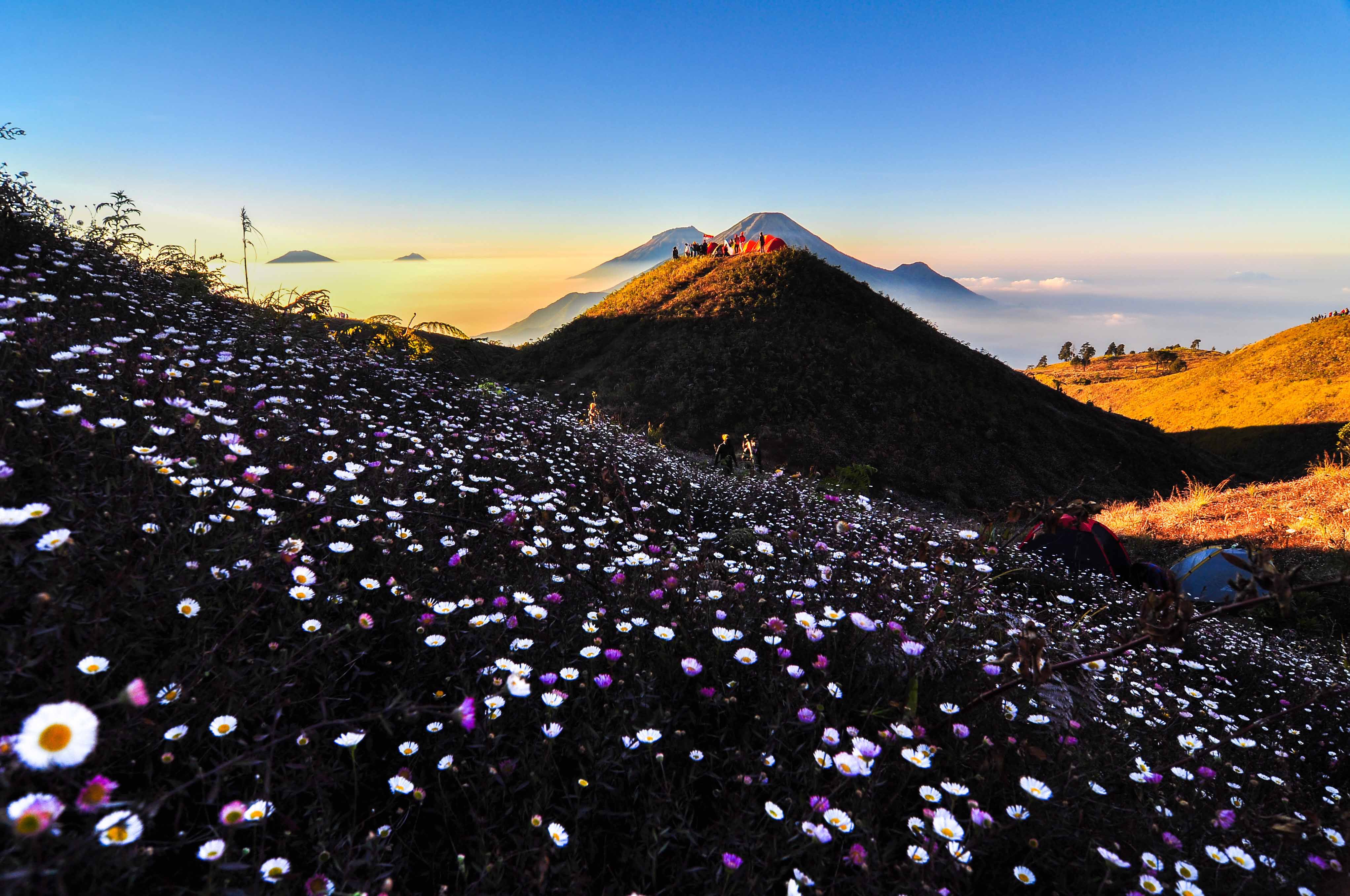 Dataran Tinggi Dieng