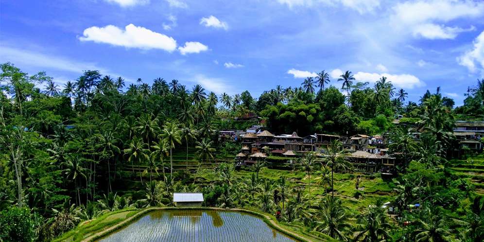 Ubud