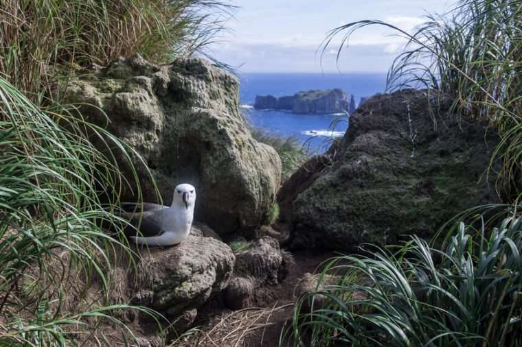 Tristan da Cunha