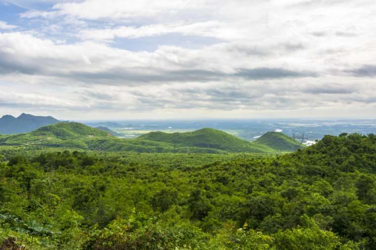 Northern Forest Complex, Myanmar