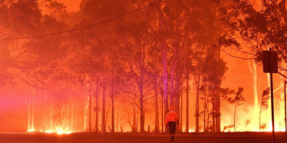 Ilustrasi Kebakaran Hutan Australia