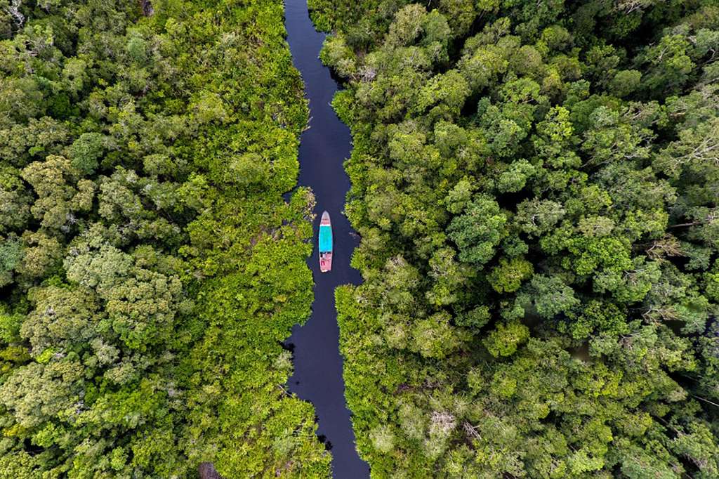 Taman Nasional Tanjung Puting