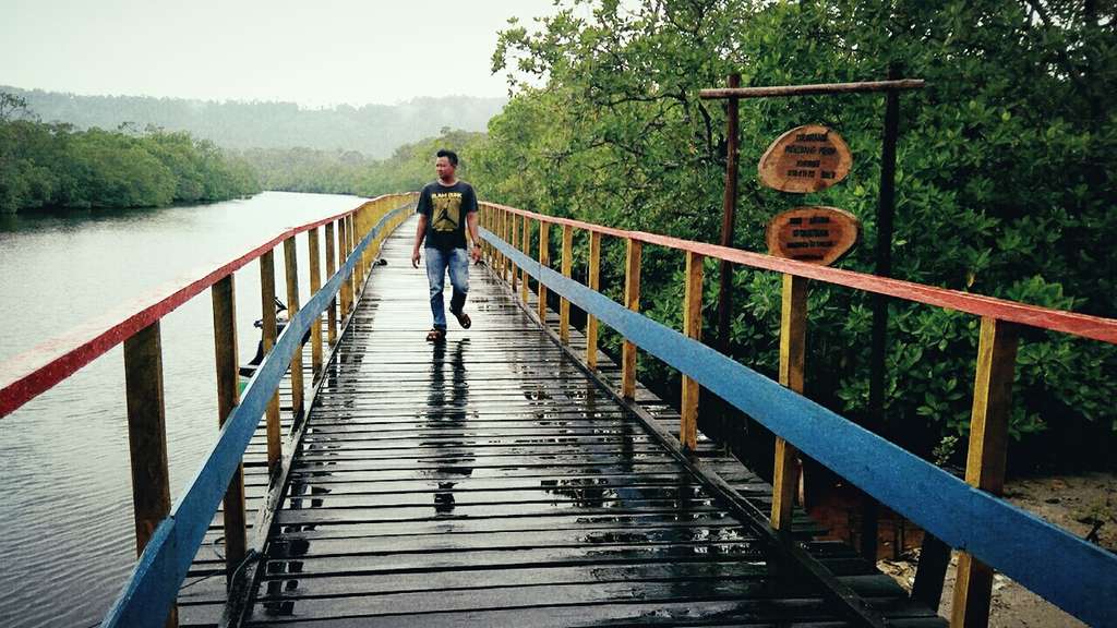 Mangrove Natuna