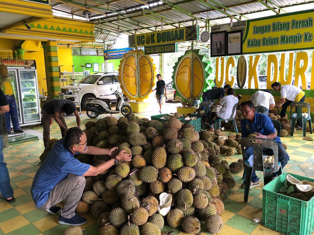 Ilustrasi Ucok Durian