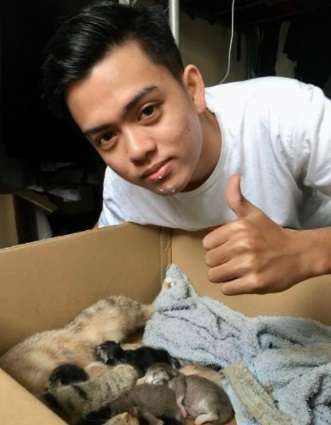 Menyusu pada kucing