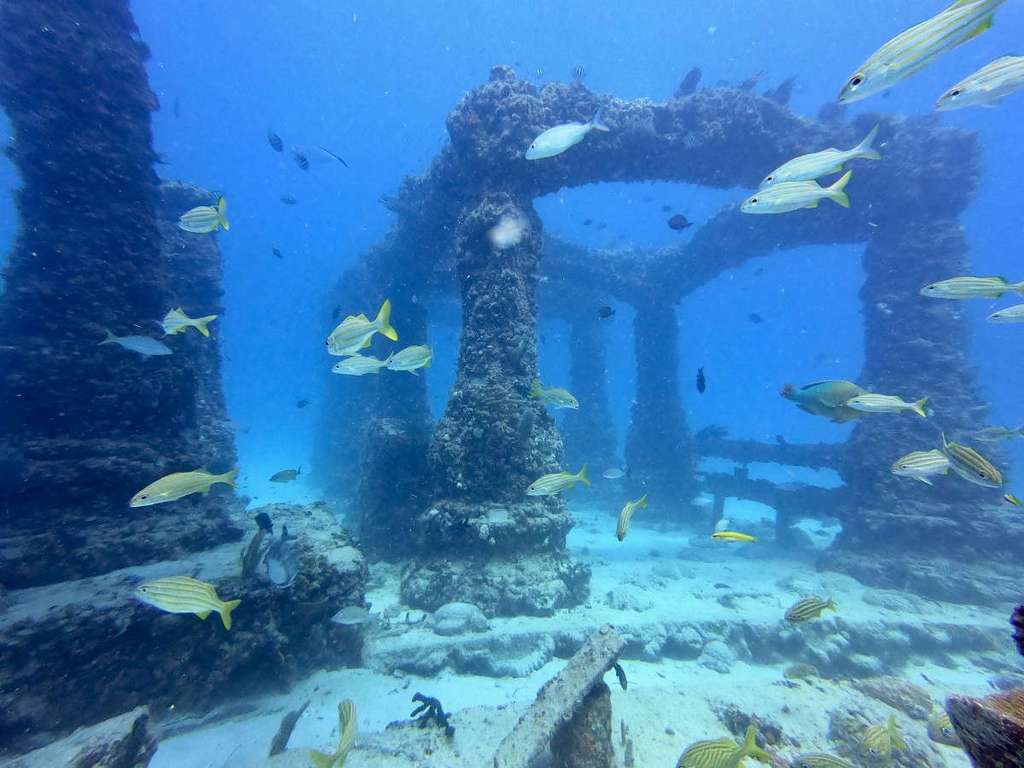 Neptune Memorial Reef Makam Bawah Laut