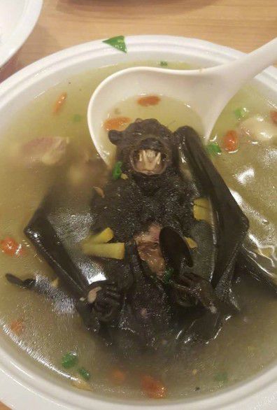 Sup Kelelawar