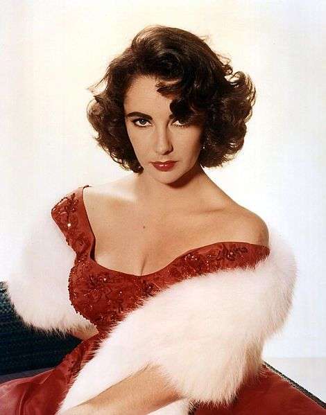 Ilustrasi Elizabeth Taylor