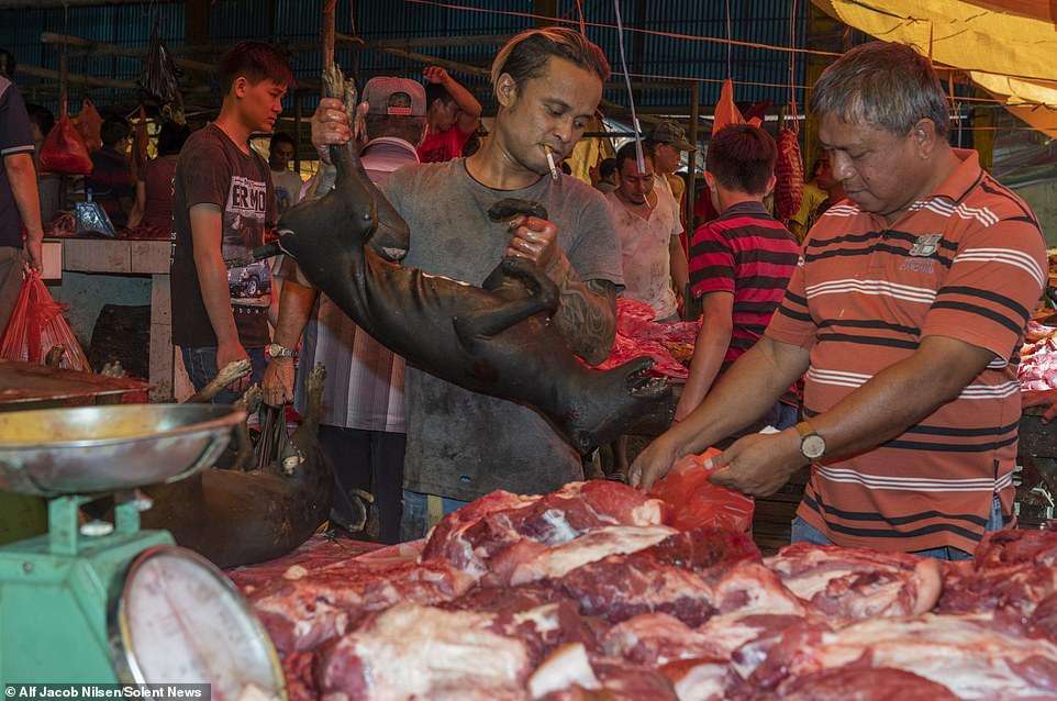 Pasar Ekstrim Tomohon