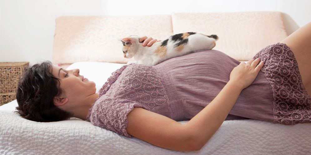 ilustrasi wanita hamil dengan kucing
